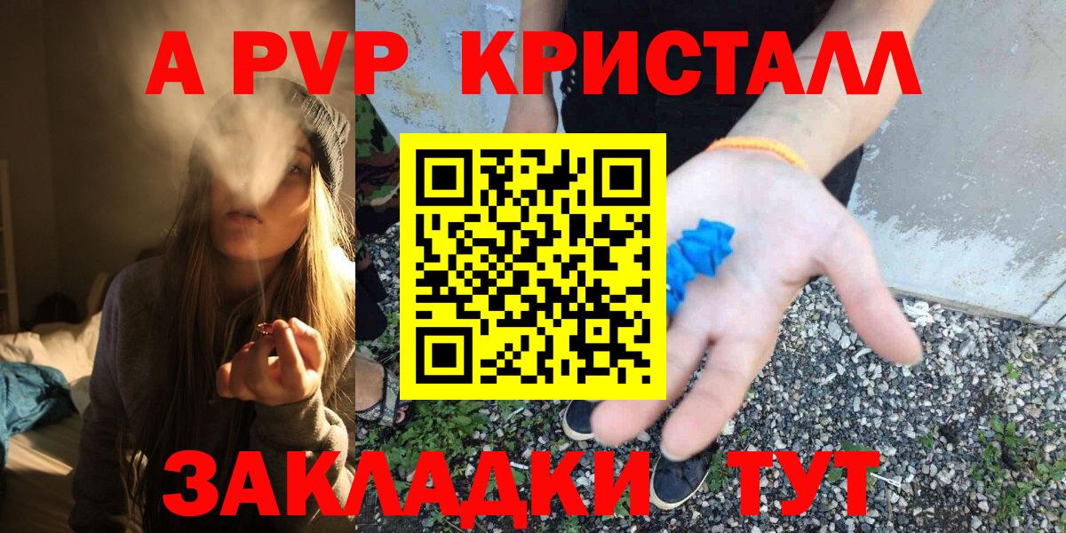 Альфа ПВП СК КРИС Дербент