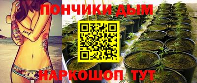 PSILOCYBIN Кулебаки