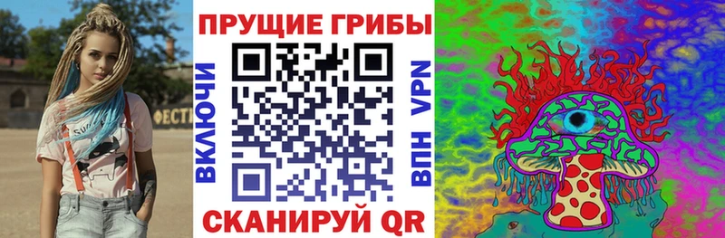 купить наркотик  Дербент  Псилоцибиновые грибы Psilocybine cubensis 