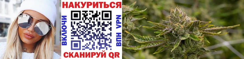 МАРИХУАНА SATIVA & INDICA  что такое наркотик  Дербент 